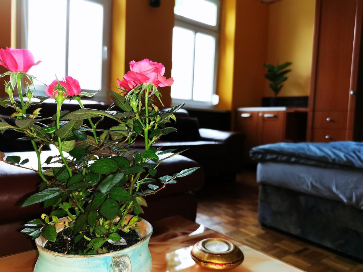 Lehel Apartman Кестели Екстериор снимка